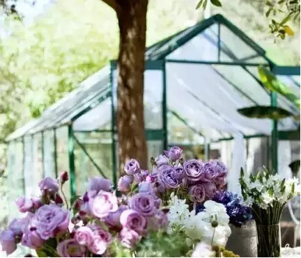 How to decorate your Greenhouse?