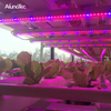 30-150 CM Full-spectrum Grow Plant Lamp for Greenhouse Cultivation.